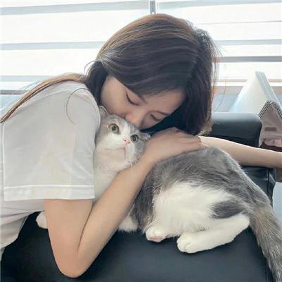 猪猪侠·一只老猪的逆袭