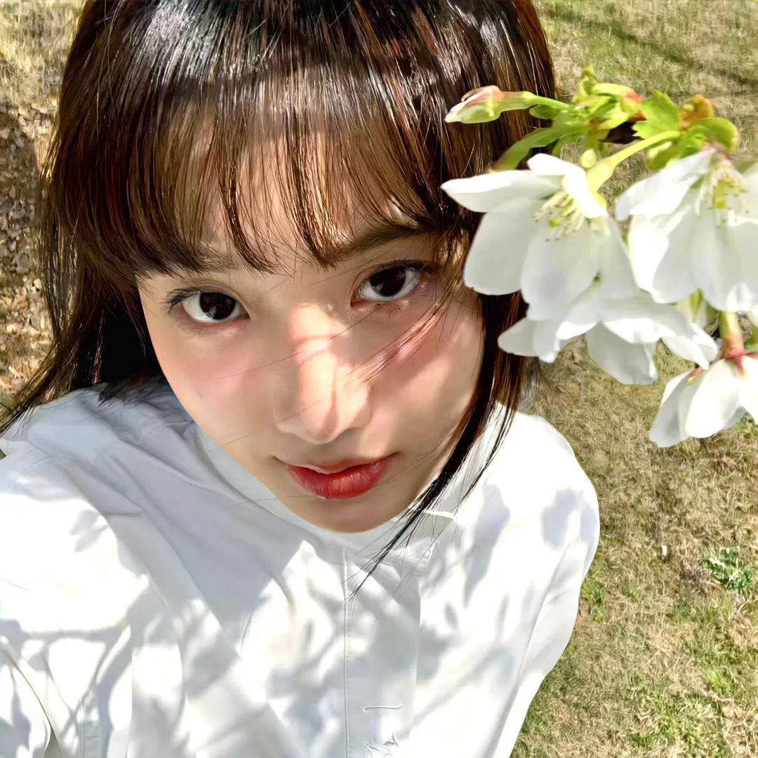 派特森与芬达猫:生日奇闻